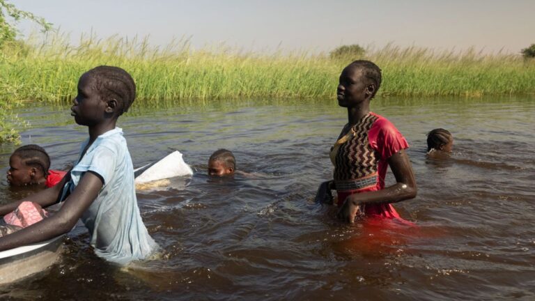 مؤسسات دولية تدعم مزارعي جنوب السودان لمواجهة الفيضانات <h2 src=