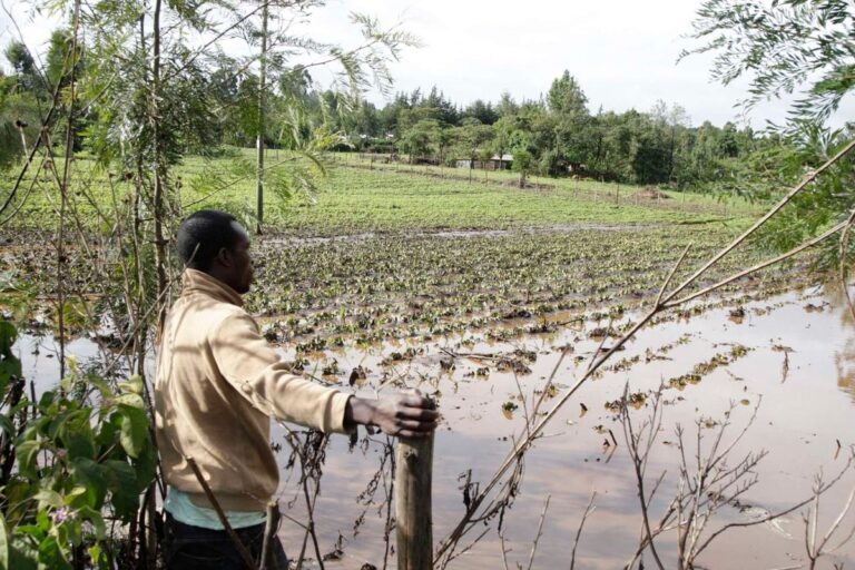 إمدادات الغذاء تواجه أزمات المناخ في أميركا والمملكة المتحدة