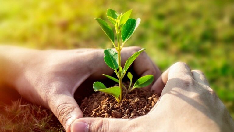 تحويل أنظمة الأغذية الزراعية ضروري للمناخ