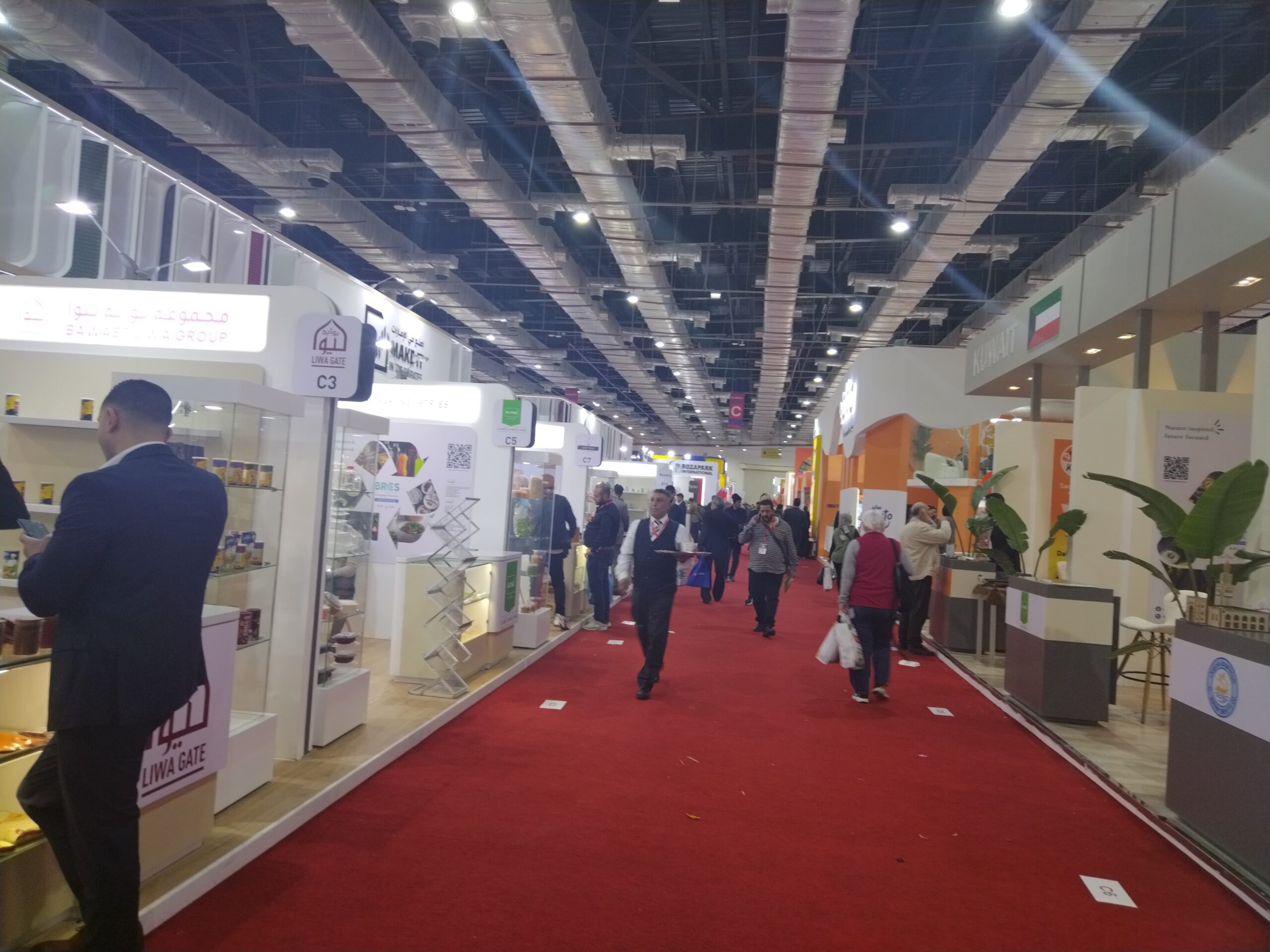 فوود أفريكا 2024.. ماكينات تحميص بالملح ومناقشات عن أزمة استعمال البلاستيك مرة واحدة