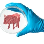 اللحوم المستزرعة تستقبل مكون جديد