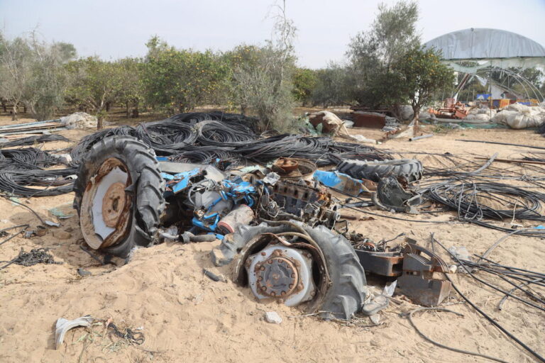 الحرب دمرت أنظمة الأغذية الزراعية في غزة