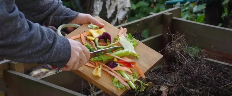 تحويل مخلفات الطعام إلى سماد في التربة