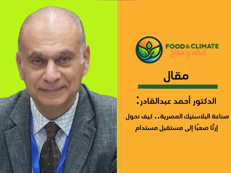 الدكتور أحمد عبدالقادر يكتب عن صناعة البلاستيك المصرية