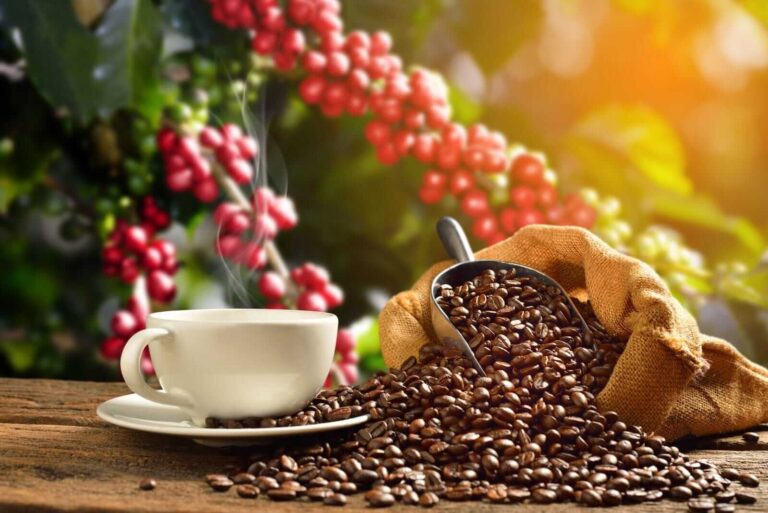 أسعار البن تقفز
