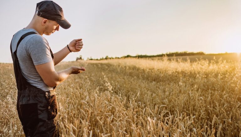 المزارعون الأميركيون يعانون بسبب ترمب