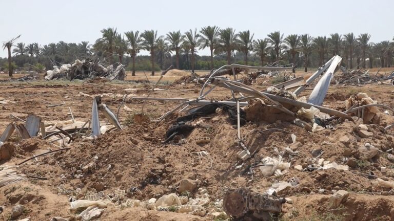 أرض غزة الزراعية تواجه الدمار جراء الحرب