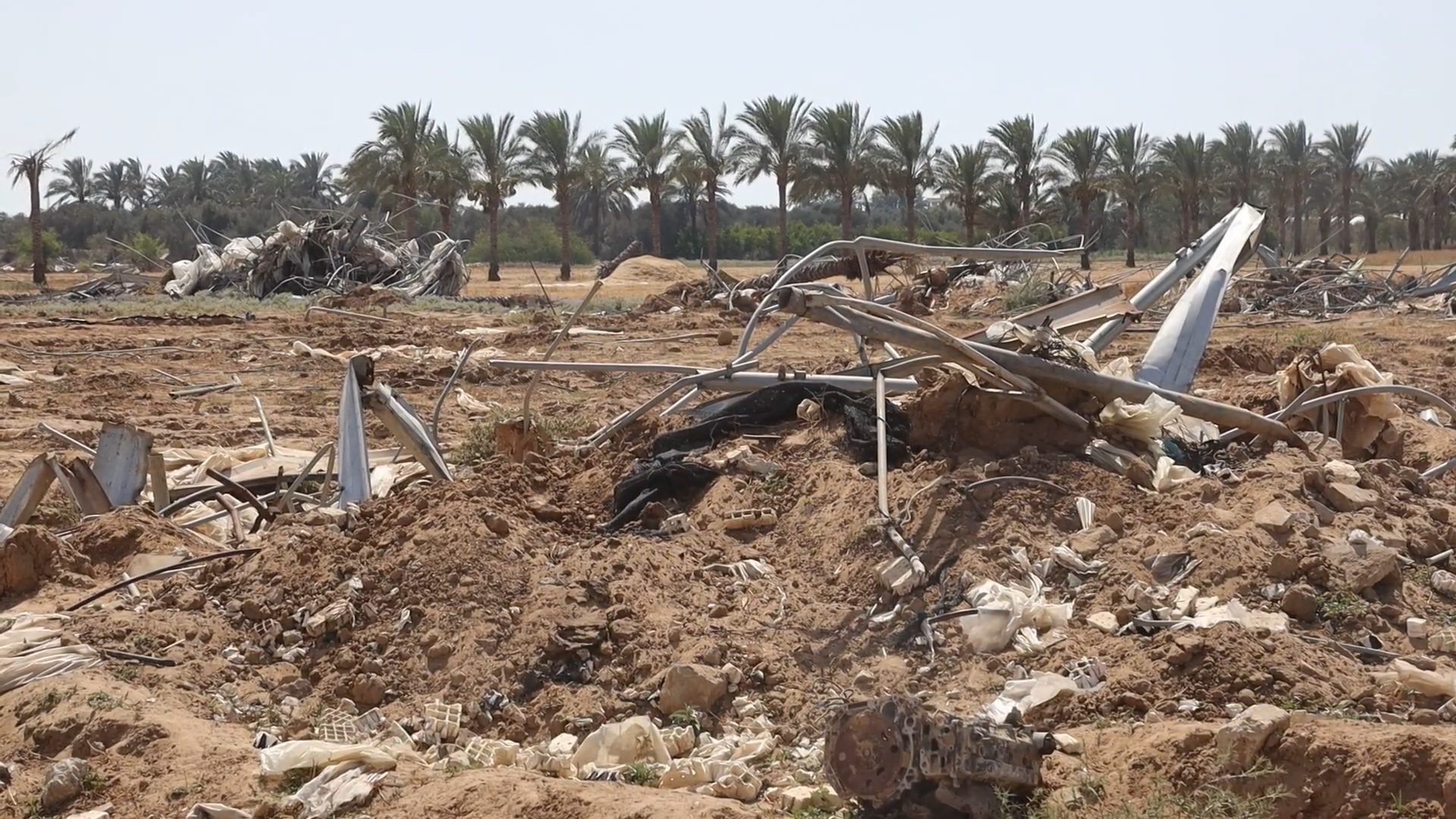 ٩٥ ٪ من أراضي غزة الزراعية غير متاحة للإنتاج الآن | تقرير أممي