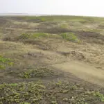 تدهور الأراضي يؤثر سلبًا في إنتاج الغذاء وسبل العيش