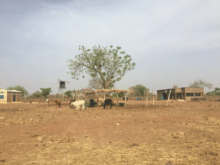 تدهور الأراضي الزراعية العربية يفوق باقي الدول