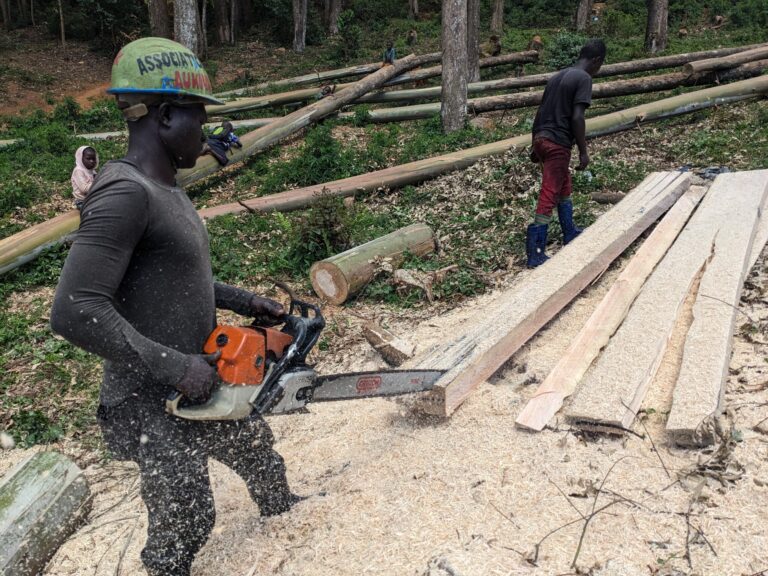 تحويل مخلفات الطعام إلى وقود طهي نظيف يحمي الأشجار من القطع