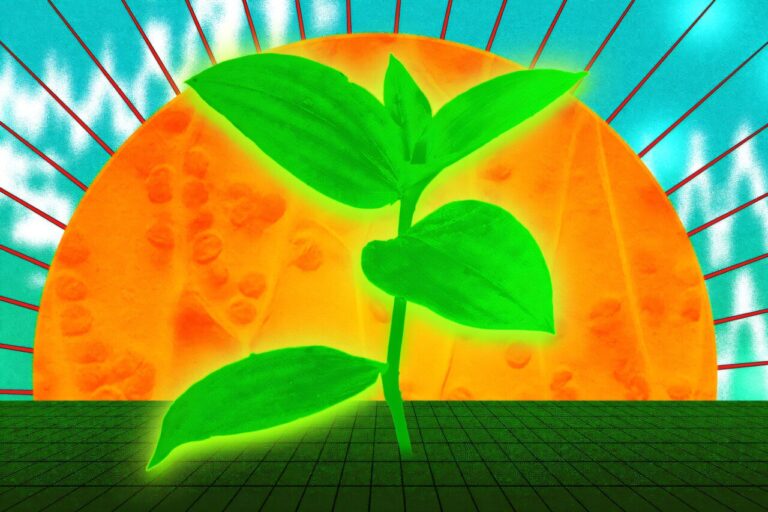 تسريع التمثيل الضوئي يبشر بزيادة الإنتاج الزراعي