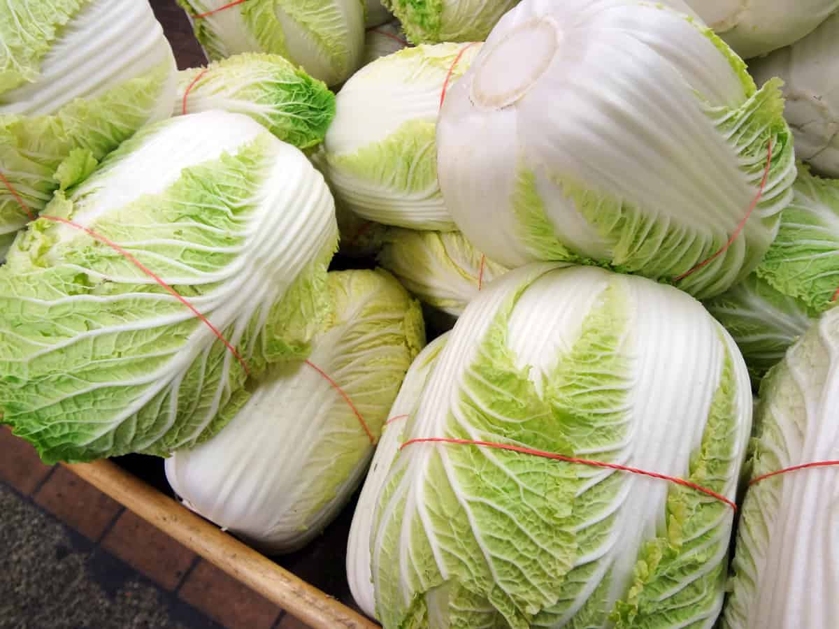 أسعار الغذاء تواصل الارتفاع مع زيادة الحرارة