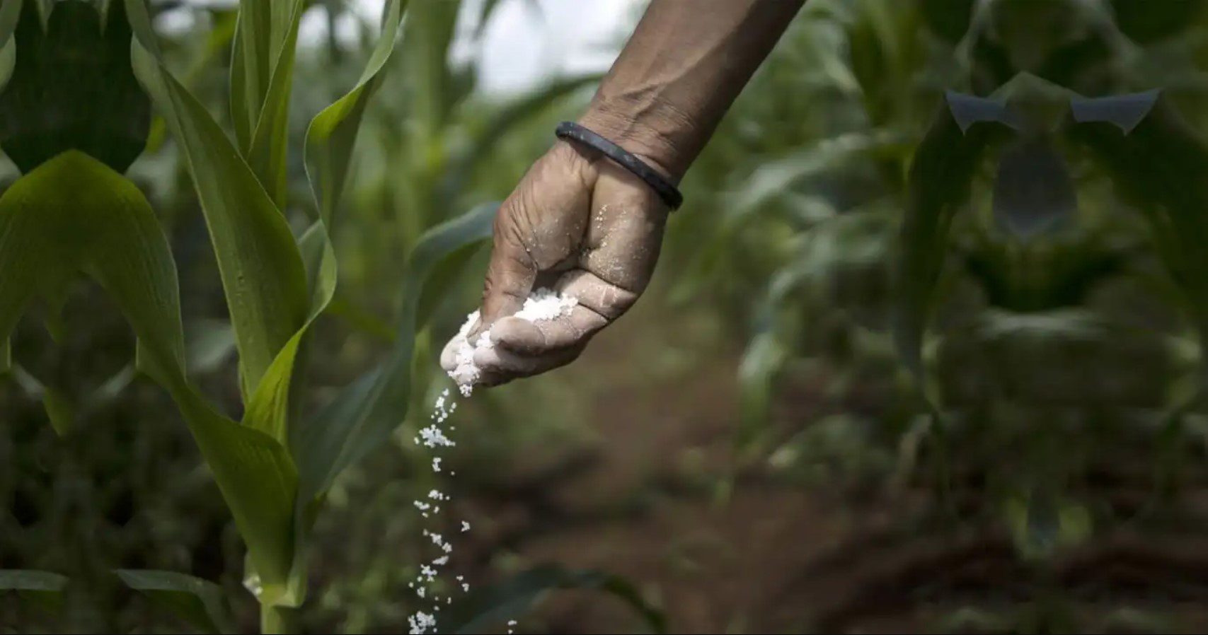 ضريبة الكربون الأوروبية تتحدى الصناعات المصرية