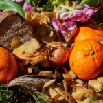 هدر الطعام في أميركا يزيد في الخضروات والفاكهة