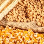 تقنية عكس بعض أشعة الشمس تؤثر سلبًا في المحاصيل الغذائية الأربعة