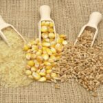 زيادة في إنتاج السلع الغذائية العالمية ومن بينها القمح والذرة والأرز