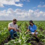 ما يقارب من ثلث المزارعين الأميركيين يواجه مشكلة جديدة