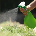 رش المبيدات التي تعتمد على المواد الكيميائية الاصطناعية قد يؤذي الصحة